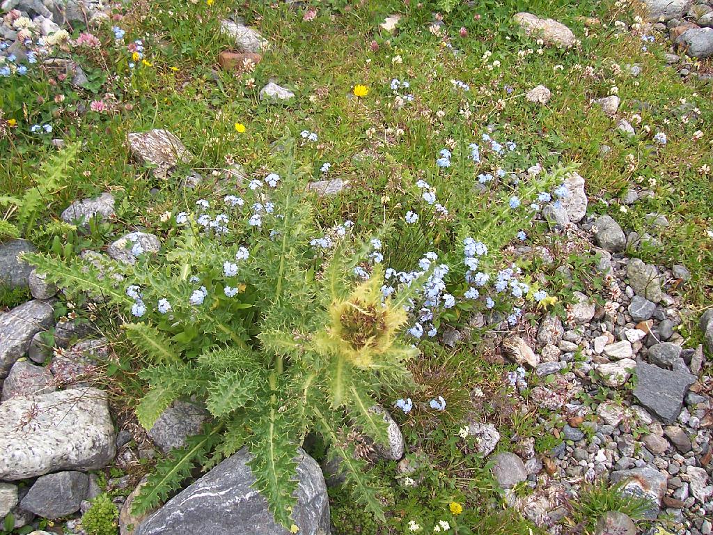 2005-07-22-19.46.34 Oestliche Seespitze